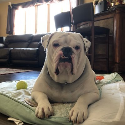 WRochfordDerive's profile picture. 