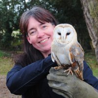 Cheryl Pattison (@cherylpattison2) 's Twitter Profile