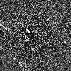 socialsybull's profile picture. 