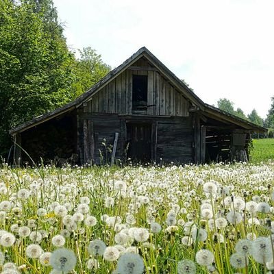 Woodfordbros's profile picture. Family owned structural renovation company established in 1965