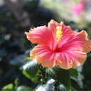 伊藤弘貴 (@0519itop) Twitter