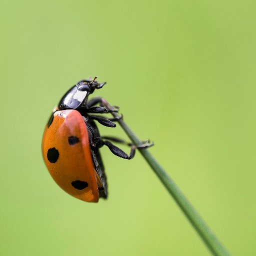 PhotoJanski's profile picture. Amateur photographer from Finland, Lahti. I'am interest in the Finnish nature in its every form! Tweeting Finnish (mostly) / English.