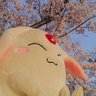 asukaclamp's profile picture. ﾌﾗﾝｽﾊﾟﾝ族(CLAMP) 魔法騎士レイアース科/日常と趣味垢  東海/クロミ様/HGVC/ハワイ/ジブリ/KAGAYA/グルメ/自然/ガーデニング/ニチアサ/マクロスΔF7愛＋/水樹奈々/Beeメイツetc. フォローお気軽に(^-^)/ https://t.co/TyJbiofP5X