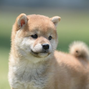 pcfc1001's profile picture. 