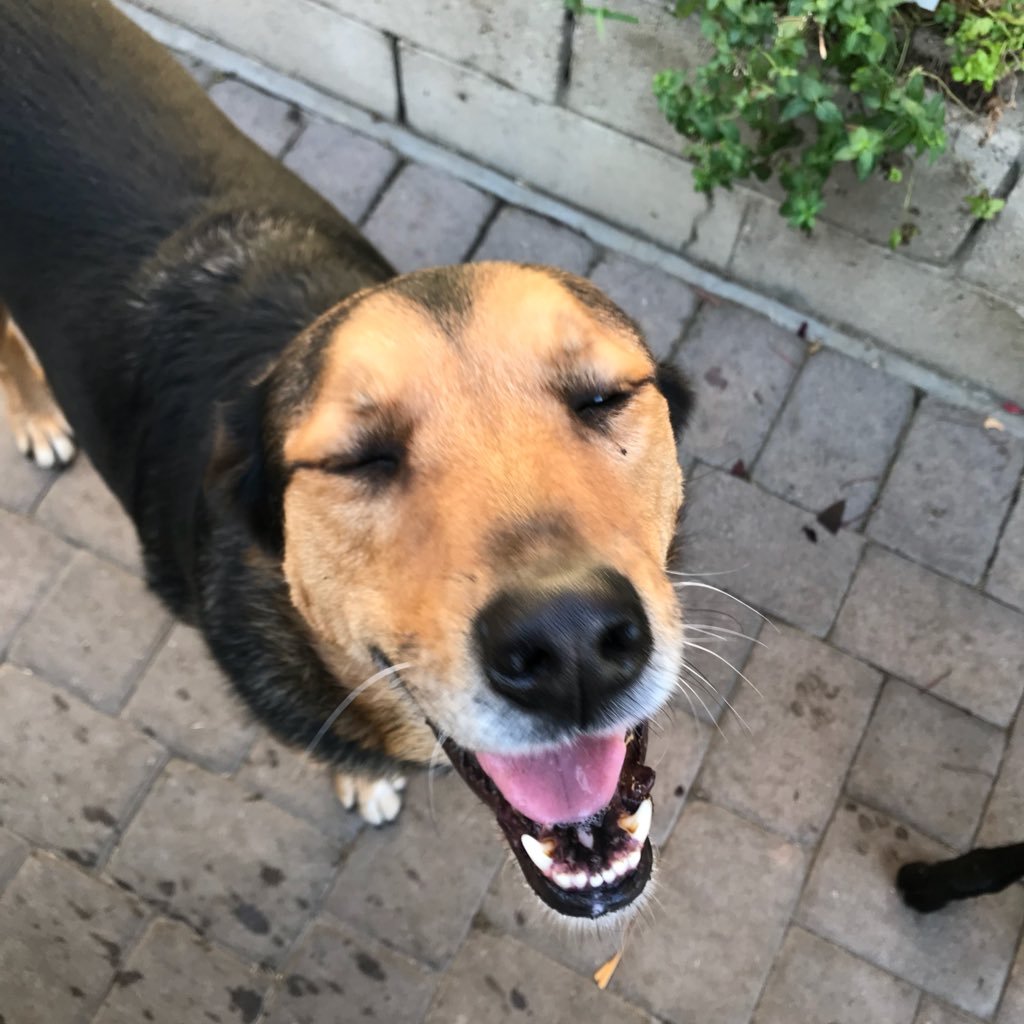 A_MOC's profile picture. Head Baseball Coach - Anaheim High School