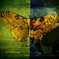 ****** (@ls83129301) 's Twitter Profile