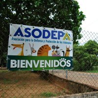 ASODEPA (@asodepa) 's Twitter Profile