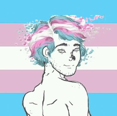 A 'Trans boy' é uma página sobre memes, informações, notícias e algumas várias outras coisas sobre o mundo trans 🌈