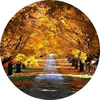 مهجد (@muhajjid) 's Twitter Profile Photo مهجد (@muhajjid) 's Twitter Profile Photo
