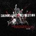 Director of award winning film 'Sounds Like a Revolution', a feature documentary about about the new wave of protest music in America.