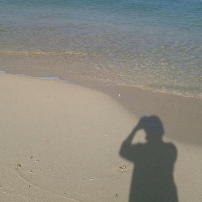 NikkaGonefox's profile picture. 