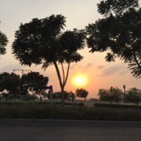 Suad A (@suadmabdirahman) 's Twitter Profile