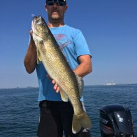 Darren J Duff (@darrenjduff) 's Twitter Profile
