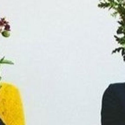 ward8046ff's profile picture. 