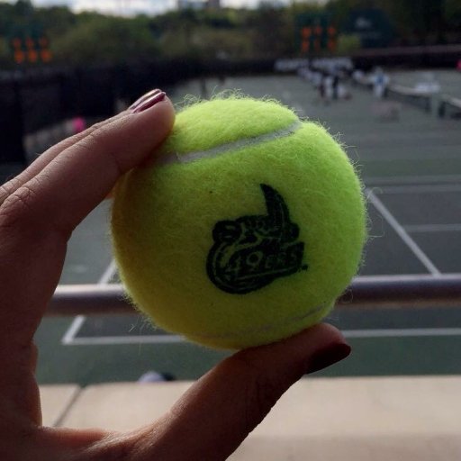 Official Twitter of The UNCC Club Tennis Team #GONiners #Top50