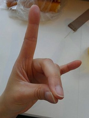 手フェチの造形図鑑 Zoukeizukan Twitter