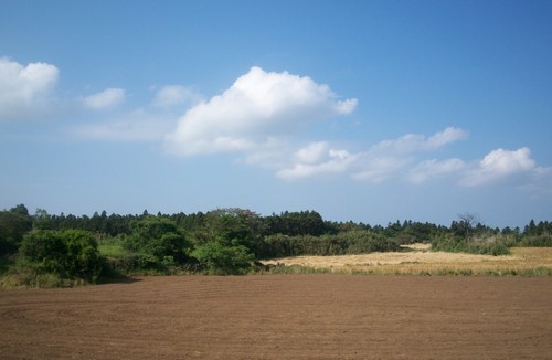 comgag's profile picture. 