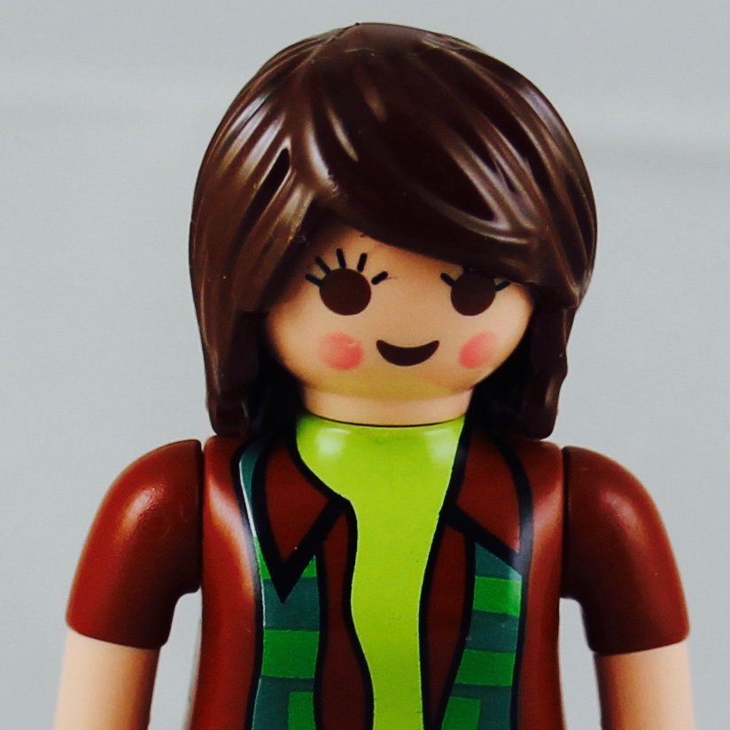 Playmobil (Adjunct) Professor