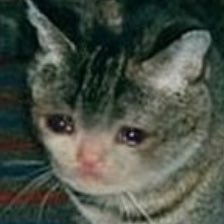 c_c_mccormick's profile picture. 