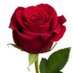 الكاتبة...راوية البراهيم .. (@rawiah_9) Twitter profile photo الكاتبة...راوية البراهيم .. (@rawiah_9) Twitter profile photo