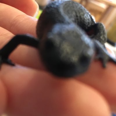 MolchNewtGlosbe's profile picture. 親孝行