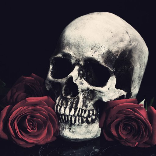 🖤🌹💀Online eBay store 🖤https://t.co/r80OIrprLw