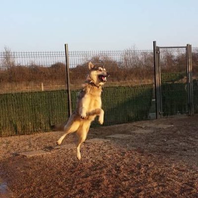 MaygixVenoome's profile picture. je suis chiant et je l assume totalement