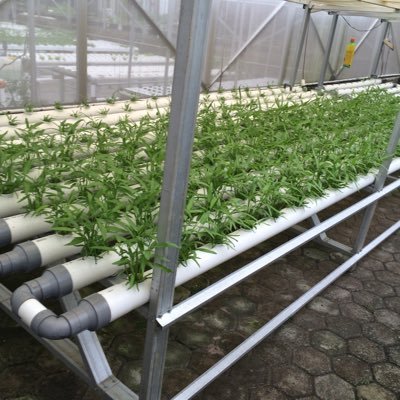 vseptyana's profile picture. 