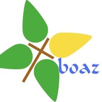 Boaz Project (@boazproject) 's Twitter Profile