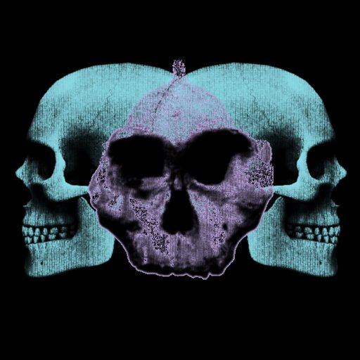 Digital Dilemma 2018 is an interdisciplinary conference to be held at UCL considering the proliferation of digital methods in skeletal remains research