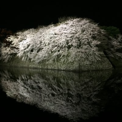 kurishowkuripon's profile picture. 電情4組