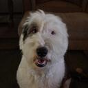 Steve Raine - @Raineman1 - Twitter