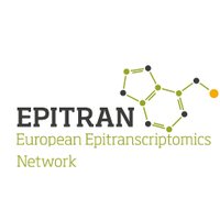Epitran (@epitran) 's Twitter Profile