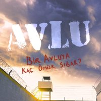 Avlu (@avludizi) 's Twitter Profile