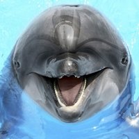 CrypBeTe (@crypbe) 's Twitter Profile