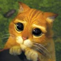 TineDo πͺπ€π©πͺπͺπΊπ³οΈβππΊπ¦π―π»π (@do_tine) 's Twitter Profile