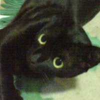 UNFORCED ERROR (@error_unforced) 's Twitter Profile