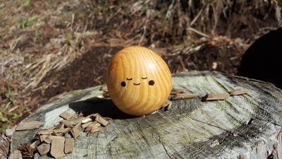 magiccube0531's profile picture. 