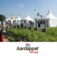 Aardappeldemodag (@aardappeldemo) 's Twitter Profile
