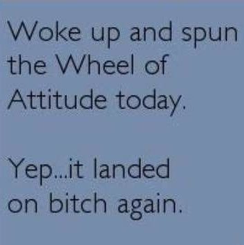 StarsChalk's profile picture. i am a #momblogger that will show you how to #makemoneyfromhome