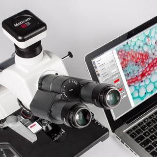 LabMicroscope's profile picture. Lab microscope & microscopy imaging solutions from MMS Microscopes - UK & Export - Special Offers & Expert Support for our Customers & Followers