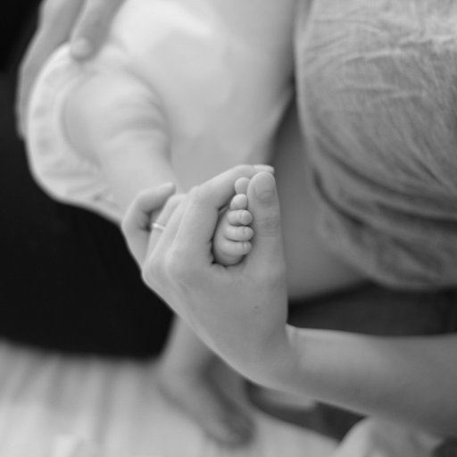 BFedNYU's profile picture. Empowering students to grow their scholarship while feeding their children.