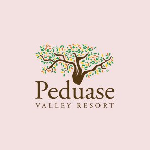 Welcome to the 4-star getaway of your dreams, For Enquiries call: 0540125555/4 email: res@peduase-valley-resort.com #Livelife
