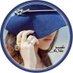 لعيون عبير (@abeer_a1000) Twitter profile photo لعيون عبير (@abeer_a1000) Twitter profile photo