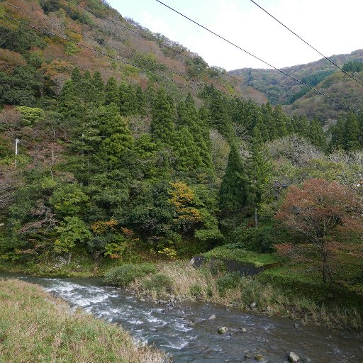 臨海、里山、田舎暮らし、島暮らし！ FF外から失礼します。無言フォロー失礼します。DM見落としごめんなさい。憧れの移住を計画するアカウント、だったはず。 https://t.co/kiV83hSuN3 https://t.co/o1OAJdEnaE