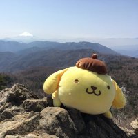 あお🏔️🌸 (@t_ao_mountain) 's Twitter Profile