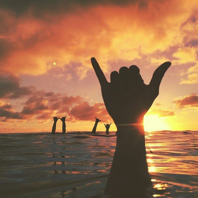 gnarlydude720's profile picture. just a gnarly surfer sharing his experience