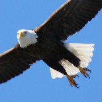 ed hammond (@biged196510) 's Twitter Profile