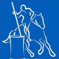 The Association for British Working Equitation(@ABWEofficial) 's Twitter Profile Photo