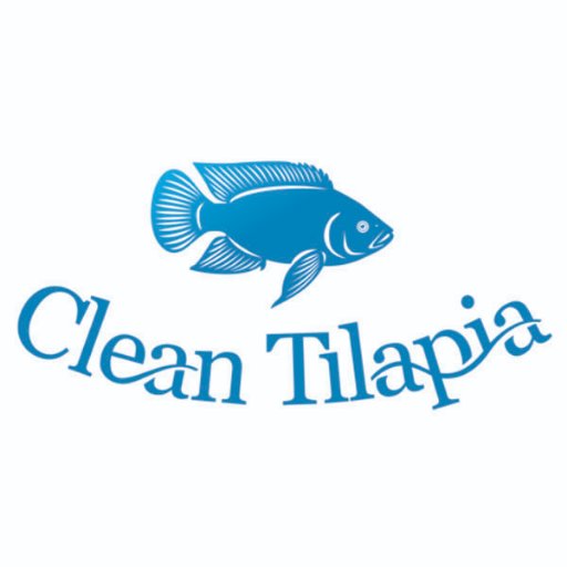 Clean Tilapia - There Is A Difference #cleantilapia 🐟